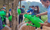 Đoàn công tác huyện Tam Đường dâng hương, trồng cây xanh  tại Khu di tích lịch sử cách mạng bản Lướt - Than Uyên