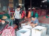 Hiệu quả từ chính sách hỗ trợ nông nghiệp ở Tam Đường