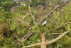Giang Ma thiệt hại trên 38 triệu đồng do mưa lốc