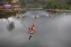 IMG 255