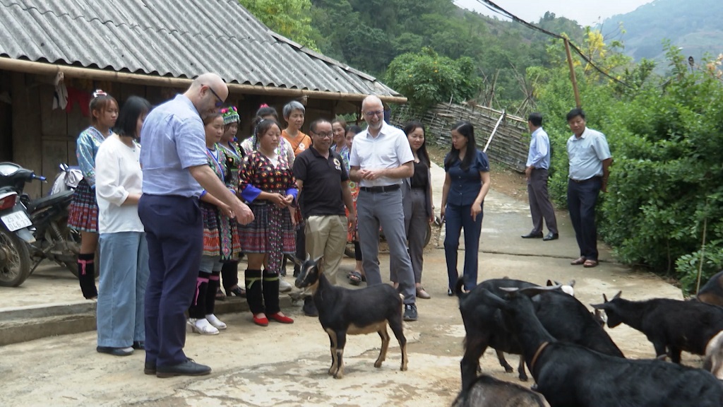Đại sứ Đặc mệnh Toàn quyền Canada tại Việt Nam và đoàn công tác thăm một số mô hình nông nghiệp trên địa bàn huyện Tam Đường
