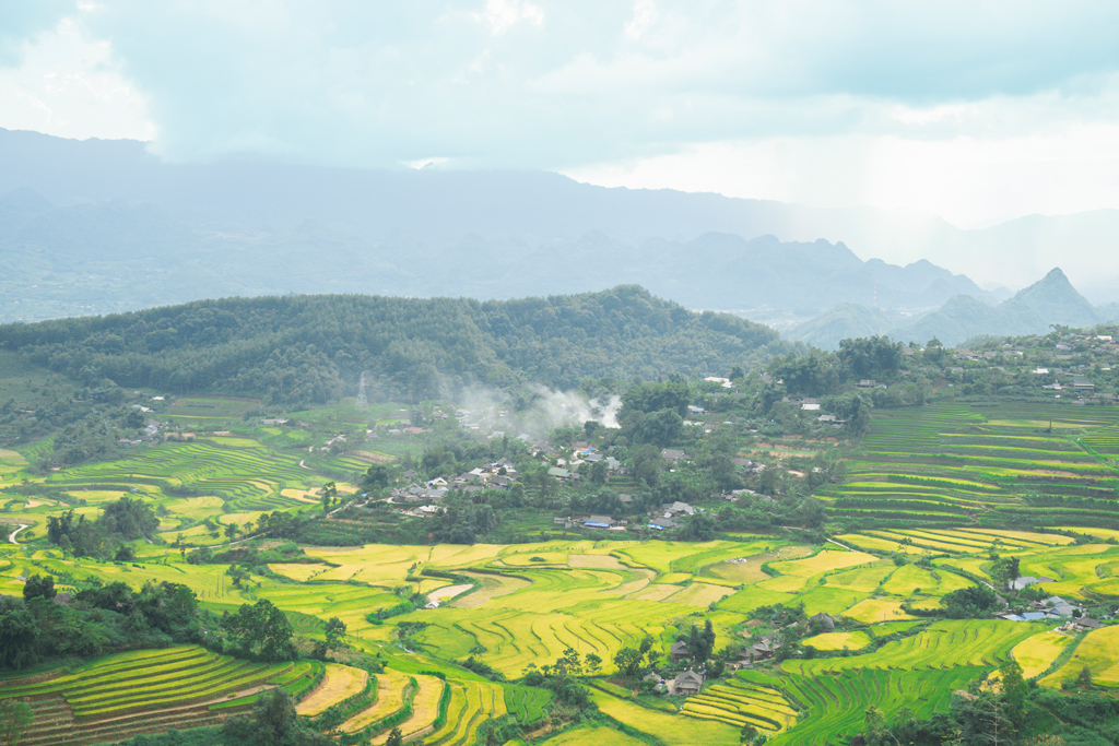 Mùa vàng Tả Lèng làm nao lòng du khách