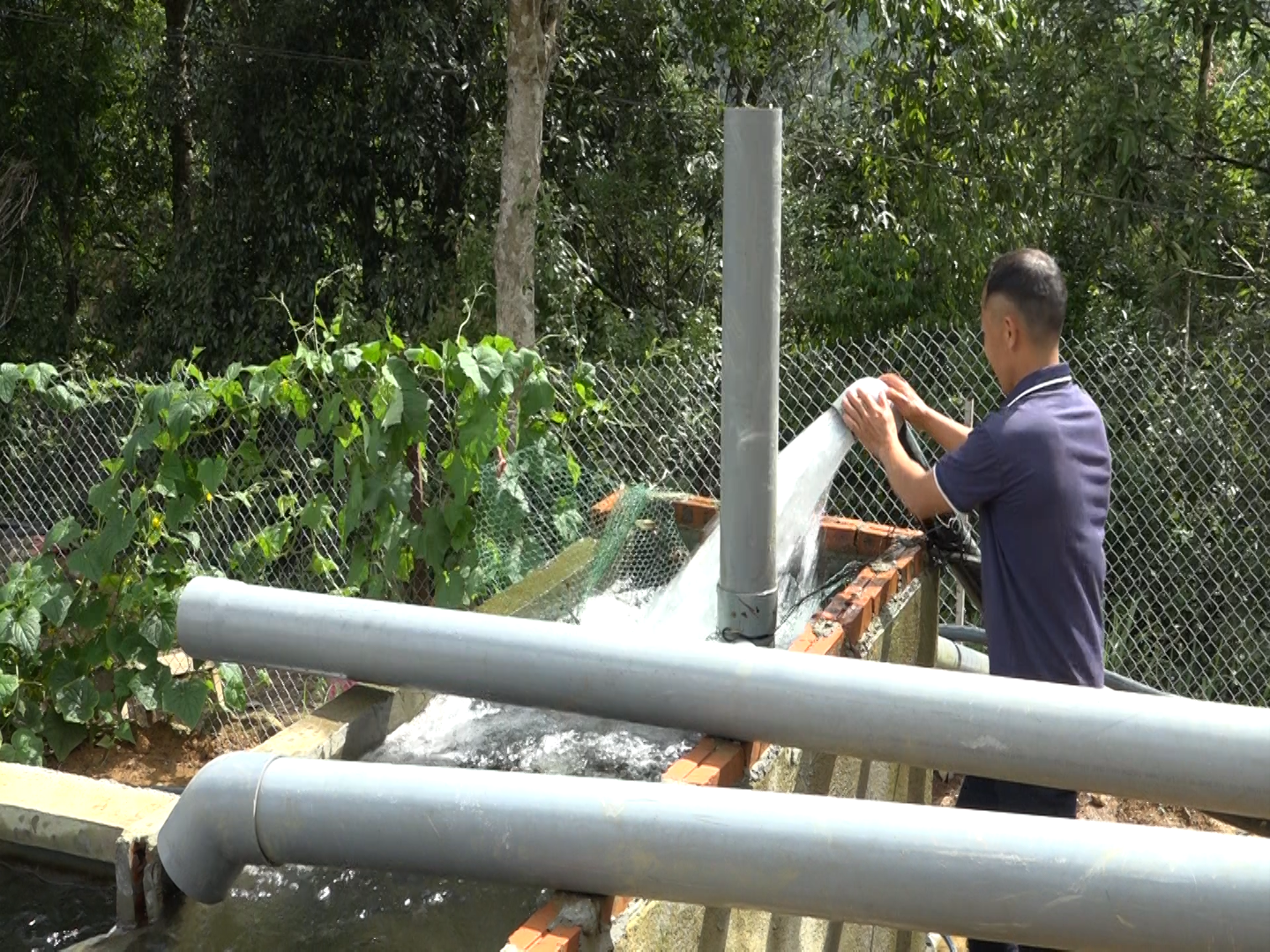 Bình Lư bảo vệ cá nước lạnh trước nguy cơ lũ quét