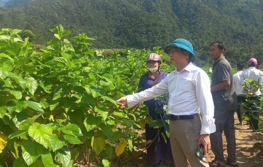Hội nông dân xã Bình Lư khảo sát xây dựng mô hình phát triển kinh tế