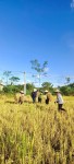 Bản Đông Pao II, xã Bản Hon Khởi sắc nhờ các chương trình, dự án giảm nghèo