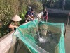 Sản lượng thủy sản 9 tháng đầu năm đạt 665 tấn