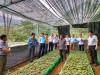 Đoàn công tác UBND tỉnh Lai Châu kiểm tra lĩnh vực nông nghiệp tại huyện Tam Đường